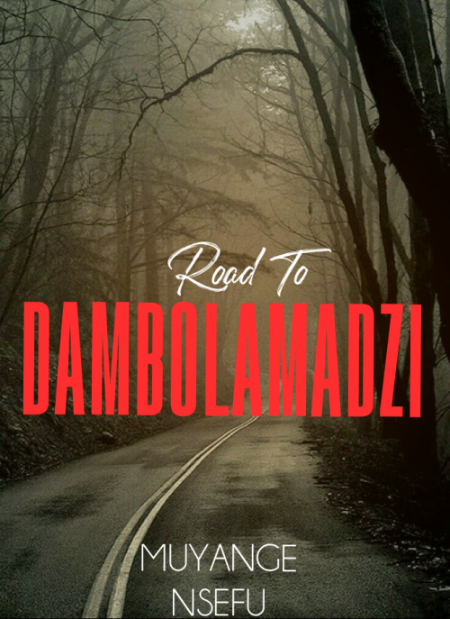 ROAD TO DAMBOLAMADZI